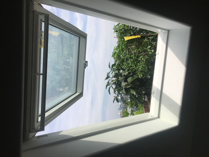 澶氬姛鑳界獥 04.jpg