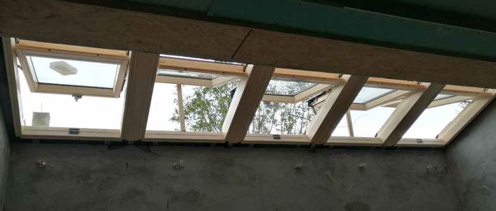 缁勫悎澶╃獥 01.jpg